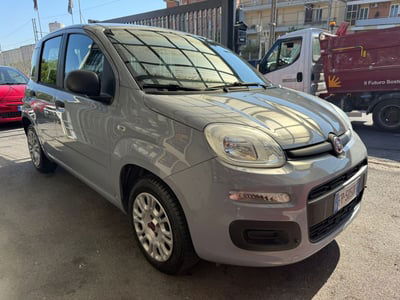Fiat Panda 1.2 Easy usata