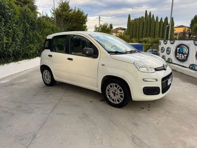 Fiat Panda 1.2 EasyPower Easy usata