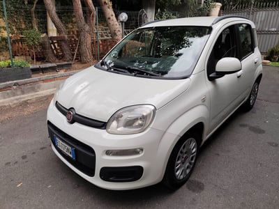Fiat Panda 1.3 MJT S&S Easy usata