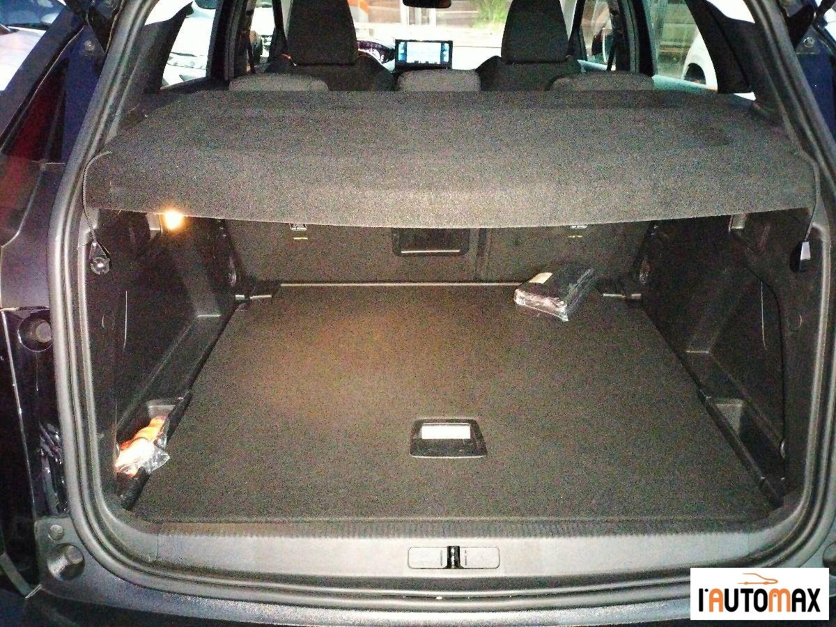 Peugeot 3008 PureTech Turbo 130 S&S EAT8 Active Business (15)