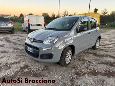 Fiat Panda 1.2 Easy usata