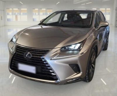 Lexus NX Hybrid 4WD Luxury usata