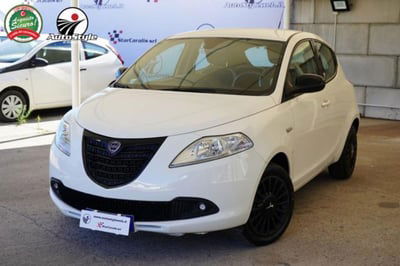 Lancia Ypsilon 1.2 69 CV 5 porte Elefantino usata