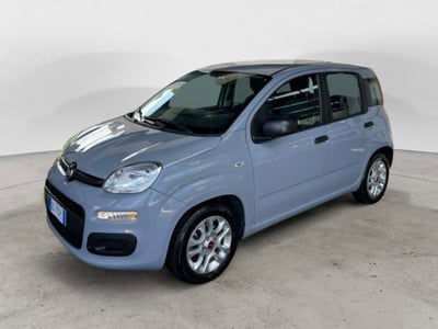 Fiat Panda Cross Cross 1.0 FireFly S&S Hybrid usata