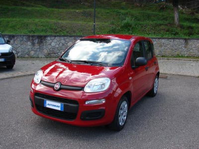 Fiat Panda 1.2 Pop usata