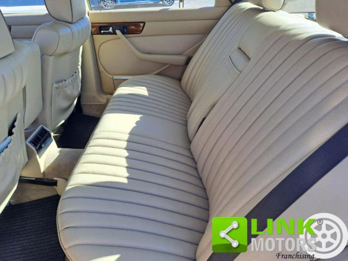 Mercedes-Benz 300 300 SE cat (11)