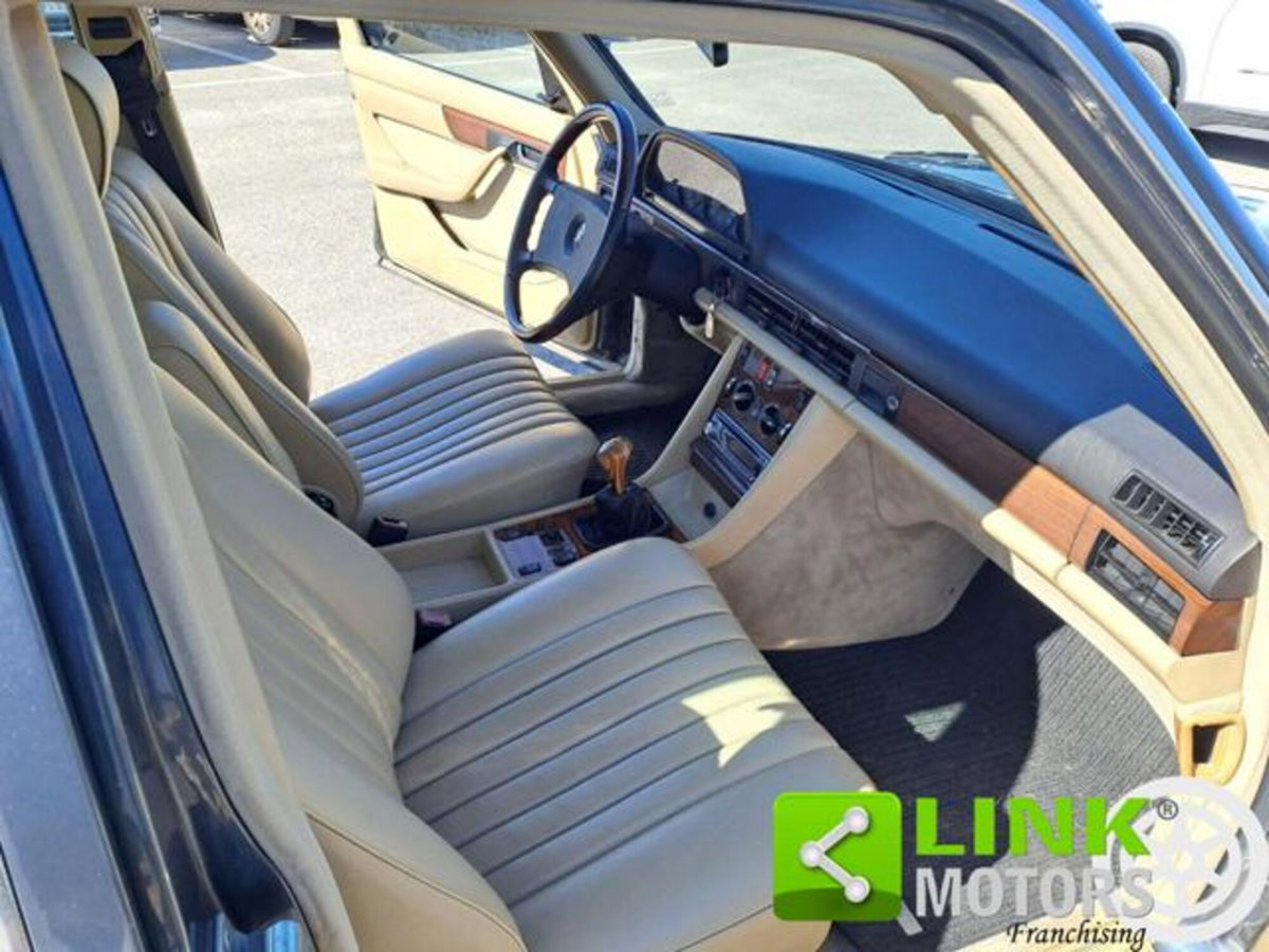 Mercedes-Benz 300 300 SE cat (17)