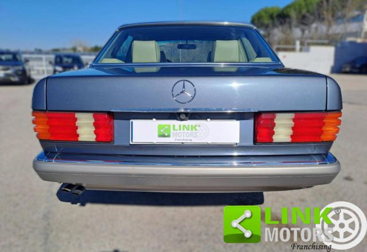 Mercedes-Benz 300 300 SE cat (4)