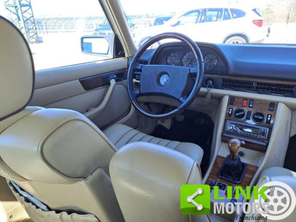 Mercedes-Benz 300 300 SE cat (9)