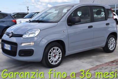 Fiat Panda 1.2 Easy usata