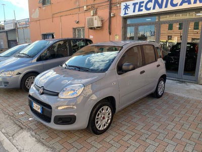 Fiat Panda 1.2 Easy usata