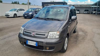 Fiat Panda 1.2 Dynamic usata