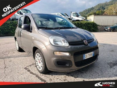 Fiat Panda 1.0 FireFly S&S Hybrid Easy usata