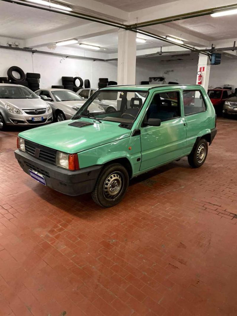 Fiat Panda 900 i.e. cat Young