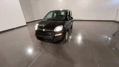 Fiat Panda 1.0 firefly hybrid s&s 70cv 5p.ti nuova