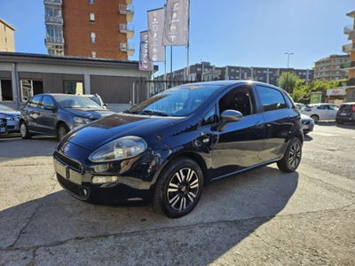 Fiat Punto 1.4 8V 5 porte Easypower Young usata