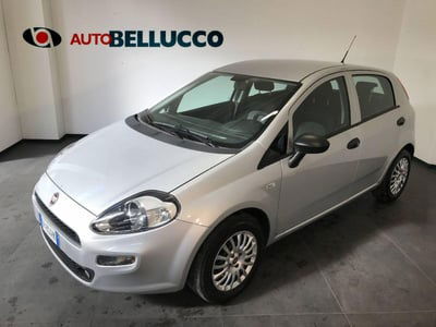 Fiat Punto 1.2 8V 5 porte Street usata