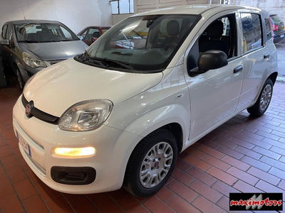 Fiat Panda 1.2 Easy usata