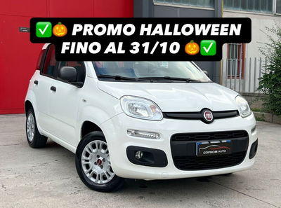Fiat Panda 1.2 Easy usata
