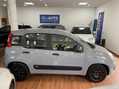 Fiat Panda 1.2 Easy usata