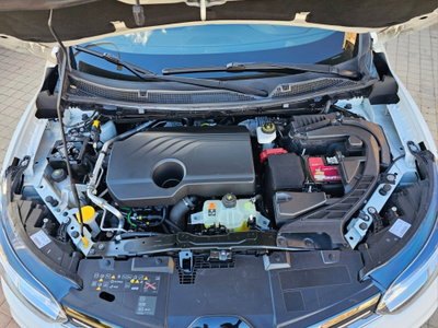 Renault Kadjar dCi 8V 115CV EDC Business (16)