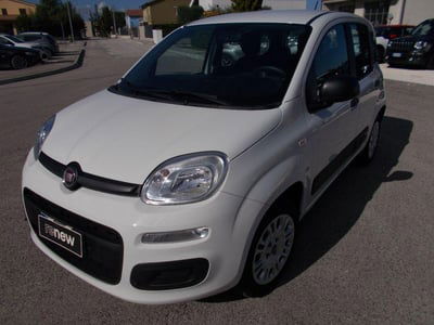 Fiat Panda 1.2 Pop usata