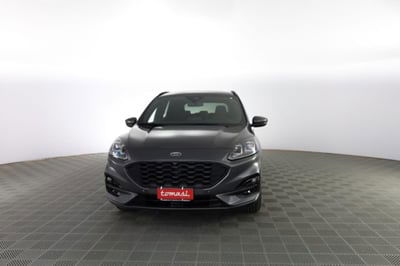 Ford Kuga 2.0 EcoBlue 120 CV aut. 2WD ST-Line X usata