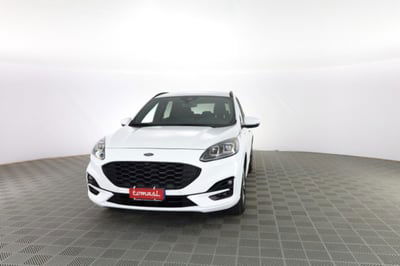 Ford Kuga 2.0 EcoBlue 120 CV aut. 2WD ST-Line X usata
