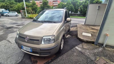 Fiat Panda 1.2 Dynamic usata