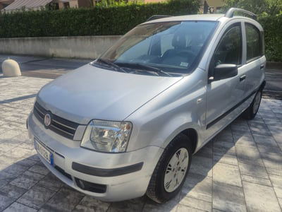 Fiat Panda 1.2 Dynamic usata