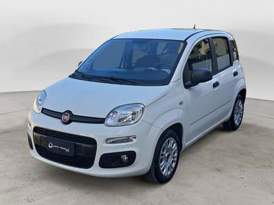 Fiat Panda 1.3 MJT 95 CV S&S Easy usata