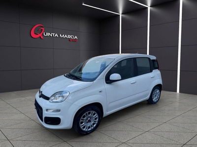 Fiat Panda 1.2 EasyPower Sport usata
