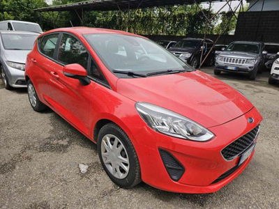 Ford Fiesta 1.1 75 CV 5 porte Plus usata