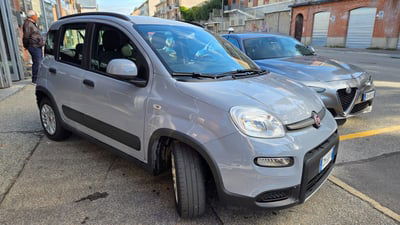 Fiat Panda 1.0 FireFly S&S Hybrid City Cross usata