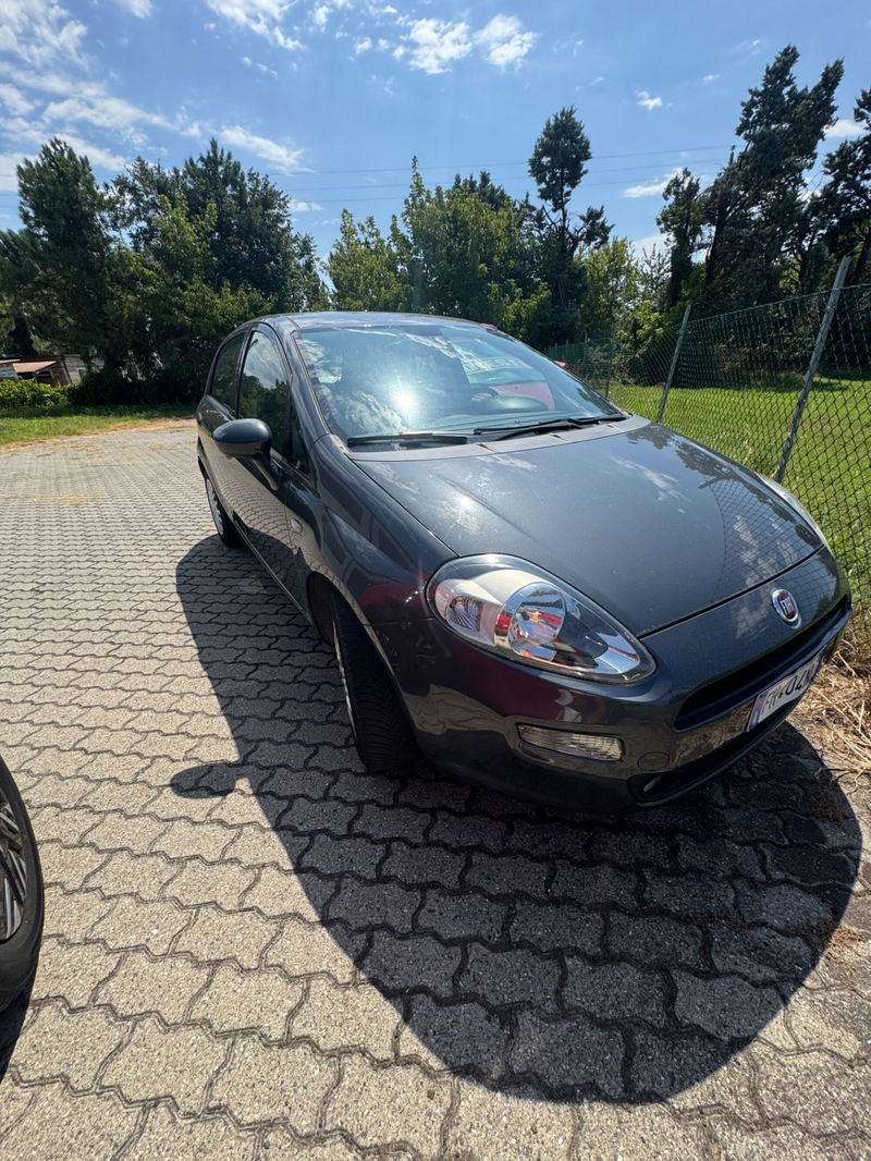 Fiat Punto 1.2 8V 5 porte Street