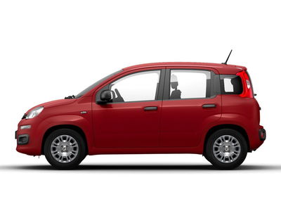 Fiat Panda 1.0 firefly hybrid Pop s&s 70cv nuova