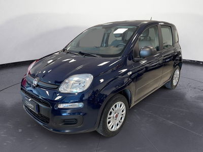 Fiat Panda 1.2 Easy usata