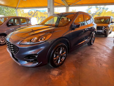 Ford Kuga 2.0 EcoBlue 120 CV aut. 2WD ST-Line X usata