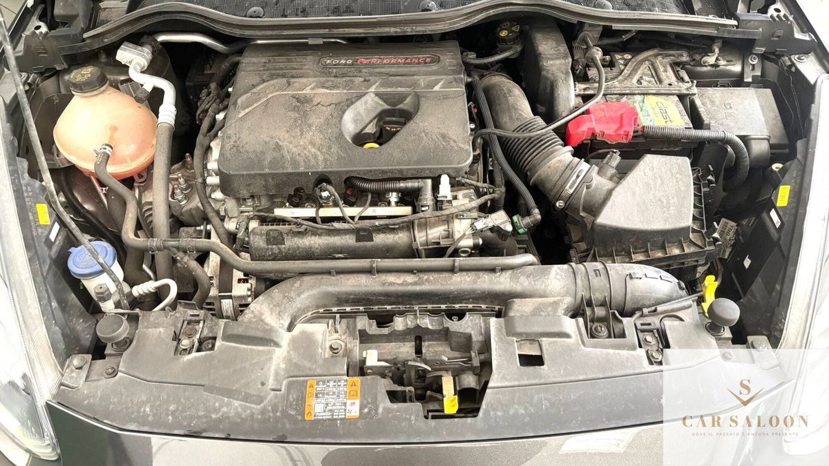 Ford Fiesta 1.5 Ecoboost 200 CV 5 porte ST (18)