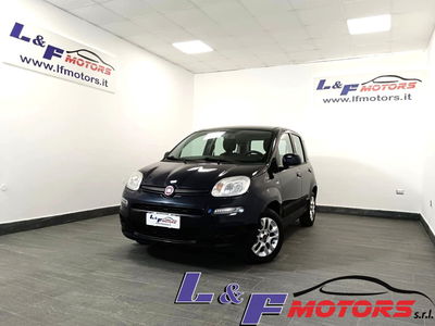 Fiat Panda 1.2 EasyPower Easy usata