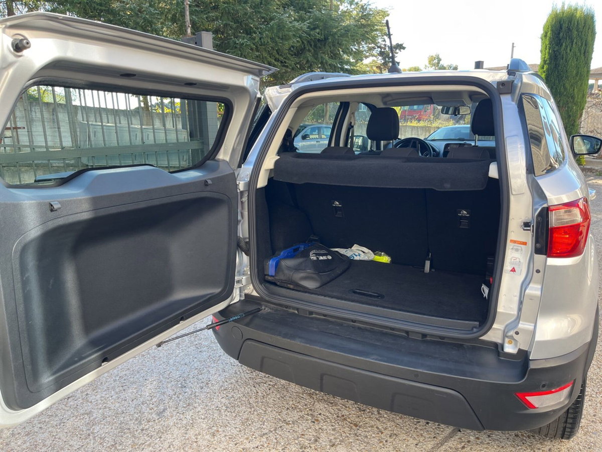 Ford EcoSport 1.0 EcoBoost 100 CV Plus (11)