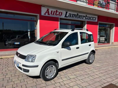 Fiat Panda 1.4 Dynamic Natural Power usata