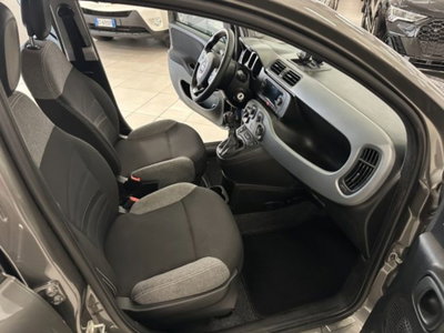 Fiat Panda 1.0 firefly hybrid s&s 70cv 5p.ti (13)