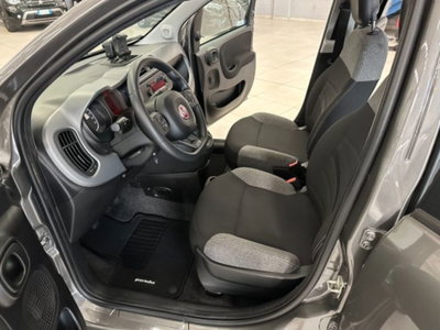 Fiat Panda 1.0 firefly hybrid s&s 70cv 5p.ti (9)