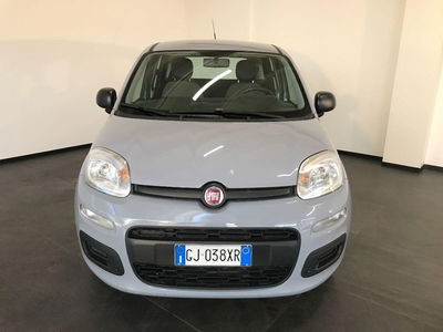 Fiat Panda 1.0 firefly hybrid Pop s&s 70cv usata