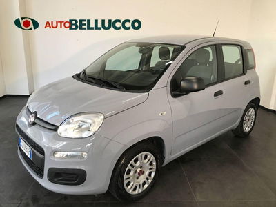 Fiat Panda Cross Cross 1.0 FireFly S&S Hybrid usata