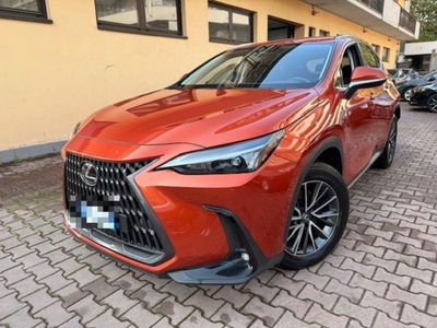 Lexus NX Hybrid 4WD Premium usata