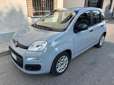 Fiat Panda 1.0 firefly hybrid s&s 70cv 5p.ti usata