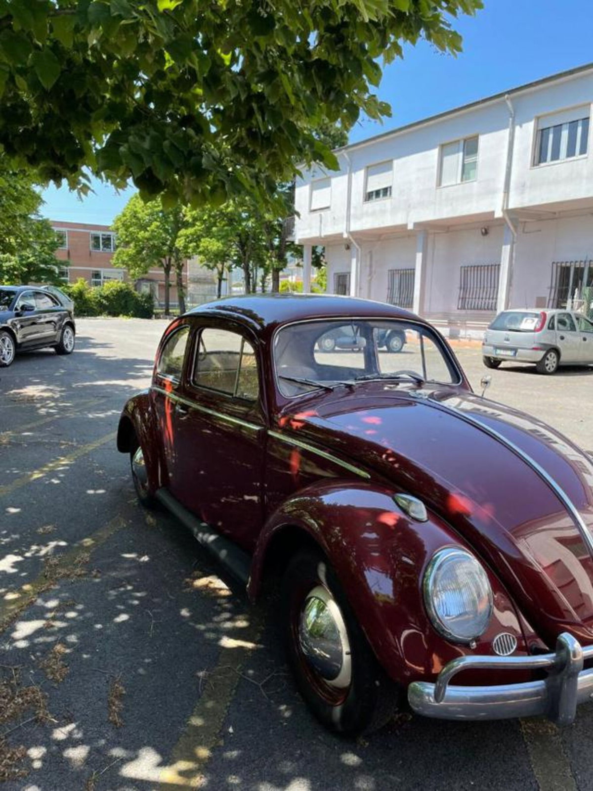 Volkswagen Maggiolino 1200 L (Messico)