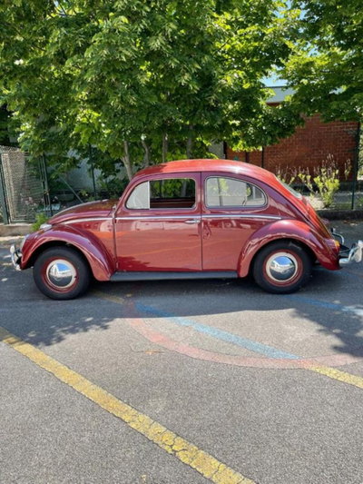 Volkswagen Maggiolino 1200 L (Messico) (4)